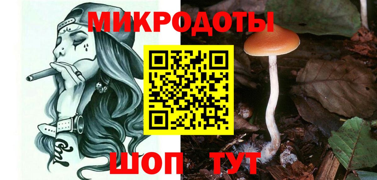 Псилоцибиновые грибы Magic Shrooms  Галлюциногенные грибы Psilocybine cubensis  Чехов  Вход с VPN 